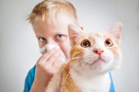 Bambino con allergia ai gatti si soffia il naso vicino al suo gatto arancione.