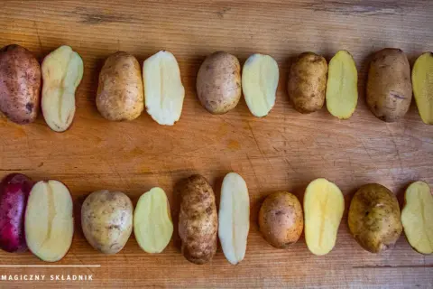 Jakie ziemniaki na frytki? Agria, Vineta i sekret chrupkości