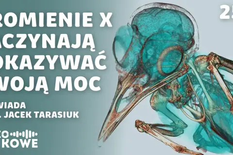 Kto wynalazł promienie X i jak zmieniły medycynę na zawsze?