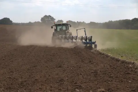 Traktor z pługiem orze pole, wzbijając tumany kurzu. To przygotowanie gleby do kolejnego sezonu, być może z myślą o wapnowaniu gleby.