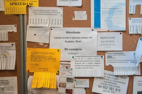 Ogłoszenie o wynajem mieszkania: Szybko znajdź idealnego najemcę!