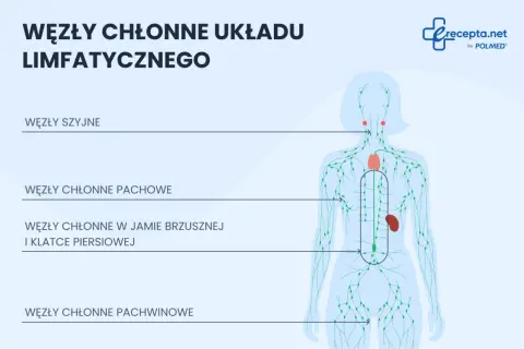 Schemat układu limfatycznego z zaznaczonymi węzłami chłonnymi szyjnymi, pachowymi, w jamie brzusznej i klatce piersiowej oraz pachwinowymi.