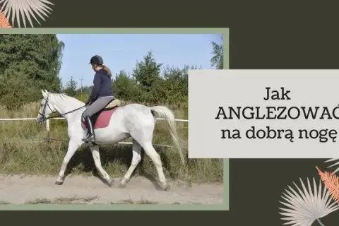 Jak poprawić anglezowanie? Trening bez konia w 15 minut!