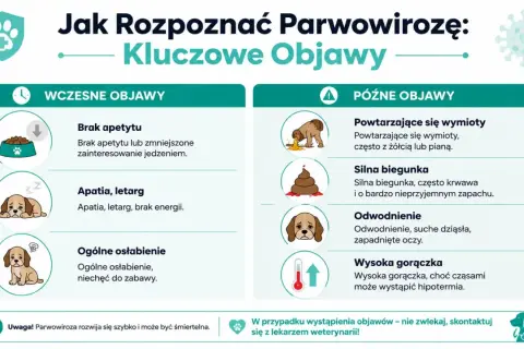Wczesne i późne objawy parwowirozy u psa: brak apetytu, apatia, wymioty, biegunka, odwodnienie, gorączka. Szybka reakcja jest kluczowa.