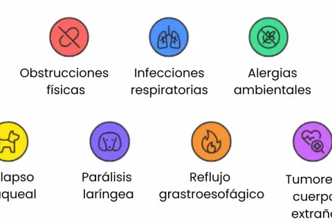Iconos que ilustran causas de tos en perros: obstrucciones, infecciones, alergias, colapso traqueal, parálisis laríngea, reflujo y tumores.