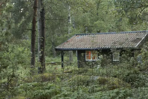 En mysig stuga i en grinda stugby, omgiven av grönskande skog och ormbunkar. Ljuset från fönstret lyser varmt.