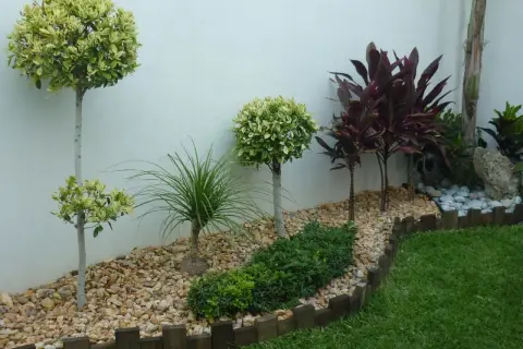 Jardines pequeños con árboles topiarios, plantas de hojas rojas y césped verde, delimitados por piedras y madera.