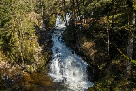 Un torrent dévale une cascade rocheuse, le saut du bouchot, au cœur d'une forêt verdoyante. L'eau blanche et écumeuse contraste avec les rochers sombres et la végétation luxuriante.
