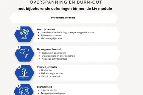 Stappenplan voor energie in balans: bewustwording, herstel, verdieping en behoud. Oefeningen voor overbelasting, overspanning en burn-out.