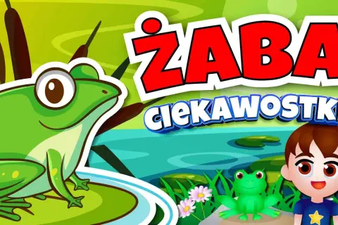 Jak rozmnażają się żaby? Zaskakujące etapy ich rozwoju w wodzie