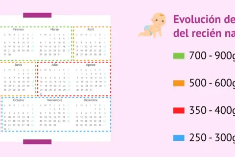 Calendario con meses y gráfico de evolución de peso de recién nacido.