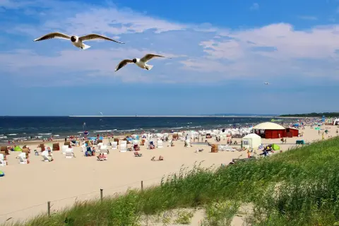 Słoneczna plaża pełna ludzi, leżaków i parawanów. Nad głowami szybują mewy, a w oddali widać morze, które kusi najcieplejszą wodą w Bałtyku.