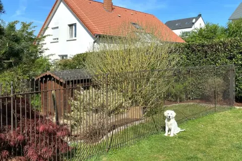 Un chien blanc attend sagement dans un jardin clôturé. La hauteur du grillage chien semble adaptée pour le garder en sécurité.