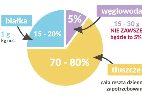 Dieta keto ile kcal: Oblicz swoje zapotrzebowanie kaloryczne