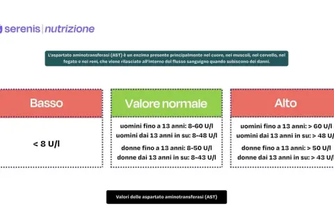 Valori AST (aspartato aminotransferasi) negli esami del sangue: basso (<8 U/I), normale (range specifici per età e sesso) e alto (> range normali).
