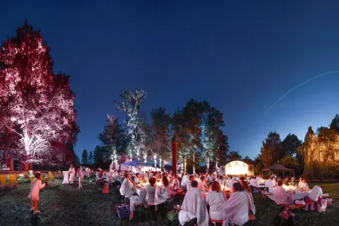 Festliche Nacht bei Essingen Veranstaltungen: Gäste in Weiß speisen unter beleuchteten Bäumen und Sternenhimmel.