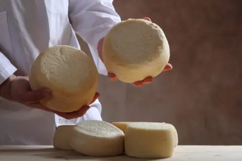 Ręce trzymają okrągłe, jasne sery. Na stole leżą kolejne krążki sera z Sardynii, gotowe do degustacji.