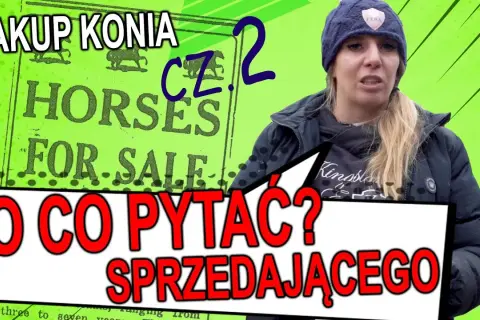 Jak kupić konia: uniknij najczęstszych błędów i wybierz mądrze