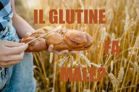 Mani che tengono un pane intrecciato in un campo di grano. Il testo dice "IL GLUTINE FA MALE?". L'orzo contiene glutine.