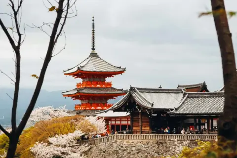 Piękna pagoda w stylu kuban w Kioto, otoczona kwitnącymi wiśniami.