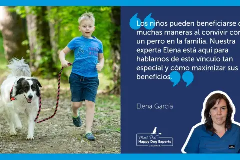 Un niño corre con su perro en un bosque. Elena García, experta en trucos para perros, explica los beneficios de convivir con un can.