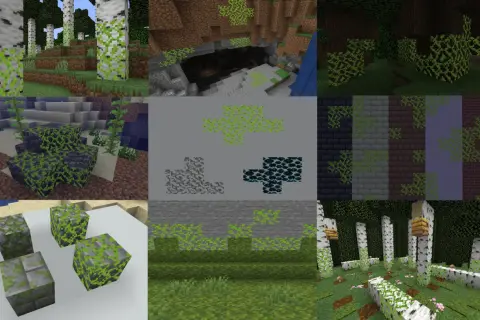 Blok mchu Minecraft w różnych odsłonach: na drzewach, kamieniach, w jaskiniach i pod wodą.