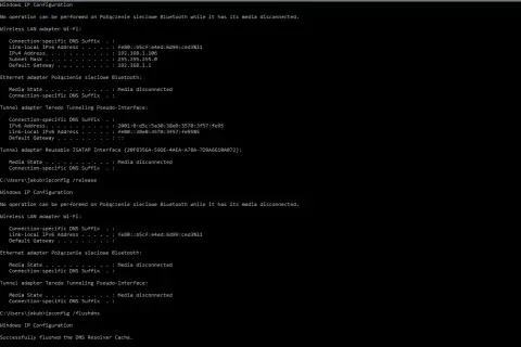 Wyniki polecenia ipconfig w wierszu poleceń Windows, pokazujące informacje o konfiguracji sieci.