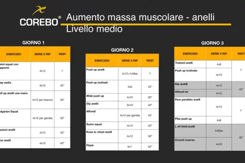 Scheda massa muscolare: allenamento per anelli su 3 giorni, con esercizi come pistol squat, push up e trazioni. Livello medio.