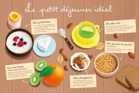 Illustration d'un **petit-déjeuner équilibré** : œuf, fromage, fruits, thé vert, fruits secs et pain complet.