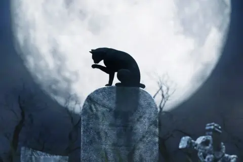 Qué significa soñar con gatos negros y sus sorprendentes interpretaciones