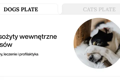Pasożyty u psów: objawy, leczenie i profilaktyka. Pies zasłaniający oczy łapą, sugerujący dyskomfort.