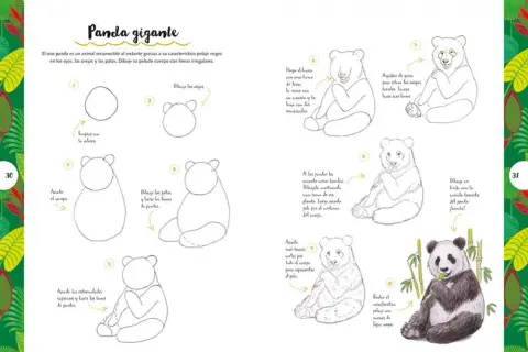 Panda gigante: guía paso a paso para dibujar animales. Aprende a trazar la cabeza, el cuerpo y los detalles del pelaje de este tierno oso.