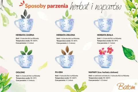 Ilustracja pokazuje, co zawiera herbata: czarną, zieloną, białą, oolong, pu-erh i napary ziołowe, wraz z instrukcjami parzenia.