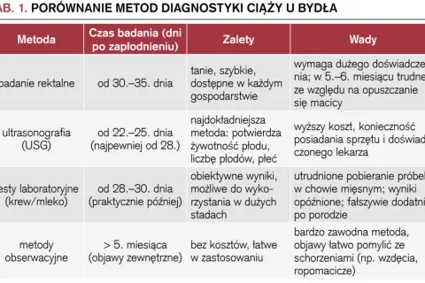 Jak obliczyć wiek ciąży? Poznaj metody i wybierz najdokładniejszą!