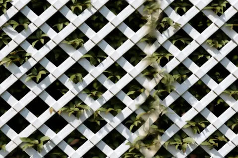 Jak zrobić kratkę do pergoli - proste kroki, które ułatwią budowę