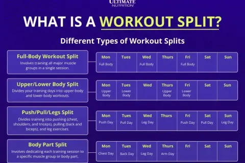 Plan treningowy Push/Pull/Legs dzieli ćwiczenia na pchanie, przyciąganie i nogi.