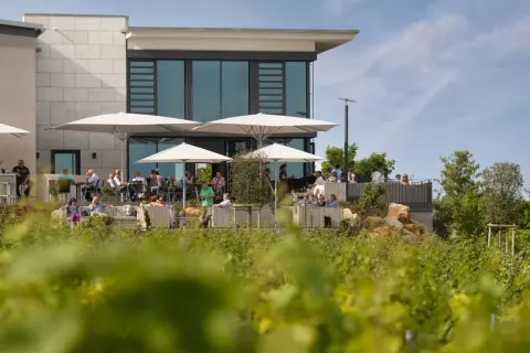 Winzergenossenschaft Herxheim: Weine, Vinothek & Events entdecken