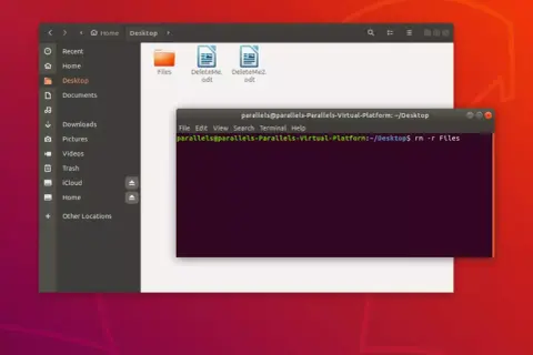 Terminal Linux affichant la commande pour supprimer des fichiers. L'utilisateur est sur le bureau et s'apprête à supprimer des éléments.