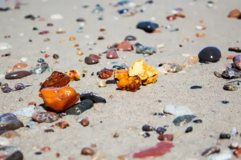 Kilka kawałków bursztynu, od jasnych po ciemne, leży na mokrym piasku plaży, wśród innych kamyków.