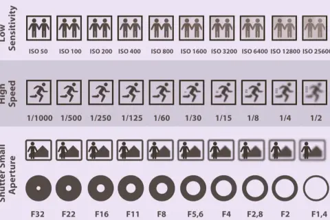 Learn how to photograph indoors by understanding ISO, shutter speed, and aperture settings. This chart shows examples for each.