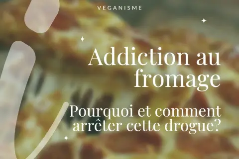 Texte sur une pizza floue : "Addiction au fromage. Pourquoi et comment arrêter cette drogue?