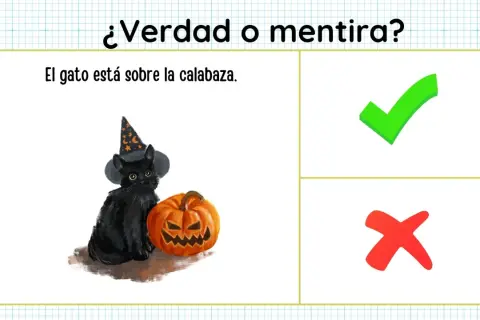 Gato negro con sombrero de bruja y calabaza de halloween. ¿Verdad o mentira? El gato está sobre la calabaza.