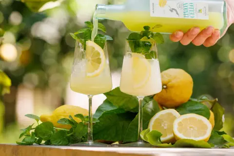 Zwei Gläser mit Eis, Zitronenscheiben und Minze werden mit einem hellgelben Limoncello-Getränk aus einer Flasche aufgefüllt. Frische Zitronen und Blätter liegen daneben.