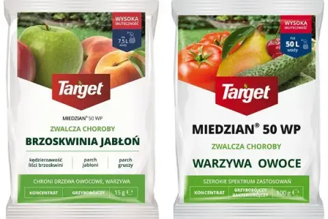 Kiedy opryskiwać miedzianem? Kluczowe terminy i zasady dla roślin