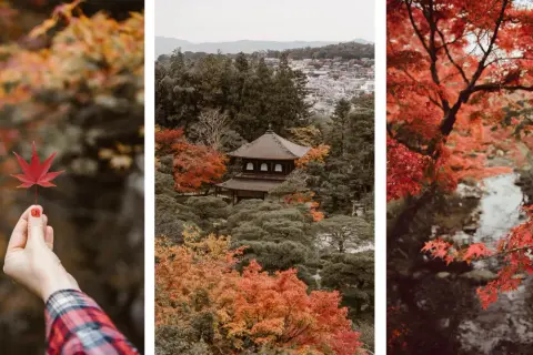 Jesień w Japonii: czerwone liście klonu, tradycyjna świątynia i malowniczy strumień. Odkryj najlepsze miejsca na jesienne liście w Japonii.