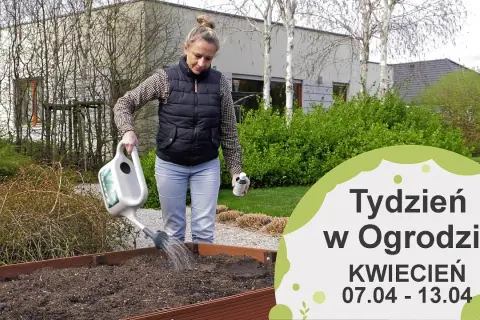 Kwiecień w ogrodzie: Kompleksowy przewodnik po pracach i poradach