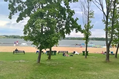 Zielone **łąki** nad **jeziorem** w **Pszczynie**, z piaszczystą plażą i drzewami.