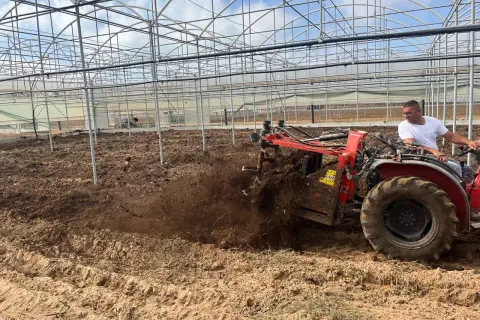 Trattore aratura in serra, lavorando il terreno per arricchirlo di sostanza organica.