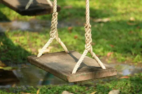 A simple wooden plank swing, suspended by thick ropes, hints at how to build a tree swing. The grass and water below suggest a peaceful backyard setting.