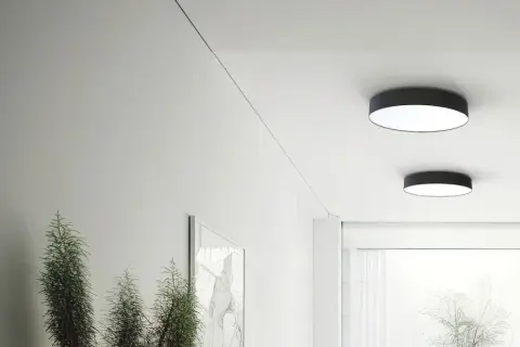 Dwie okrągłe lampy led ip65 na suficie, oświetlające nowoczesny korytarz z roślinami.